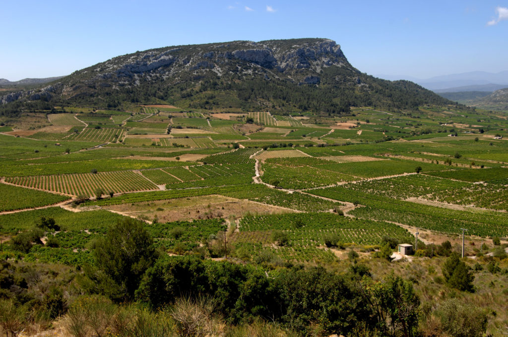 AOP Côtes du Roussillon Villages Vins du Roussillon