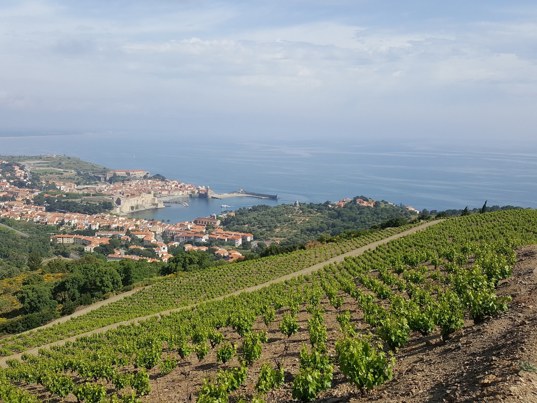 événements à Venir à Banyuls Sur Mer