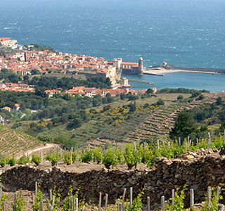 AOP Collioure