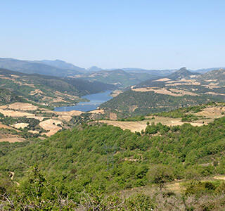 AOP Côtes du Roussillon Villages Caramany