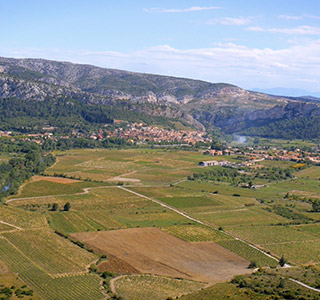 AOP Côtes du Roussillon Villages Tautavel